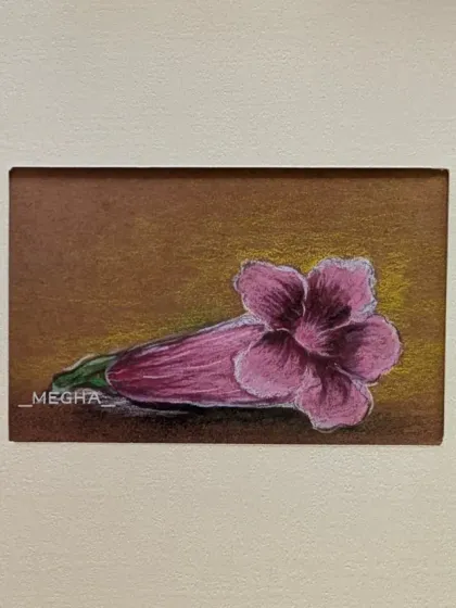 A small study of a pink trumpet-shaped flower, drawn with colored pencils on brown paper. I enjoy capturing the beauty of individual blooms in these miniature artworks.
