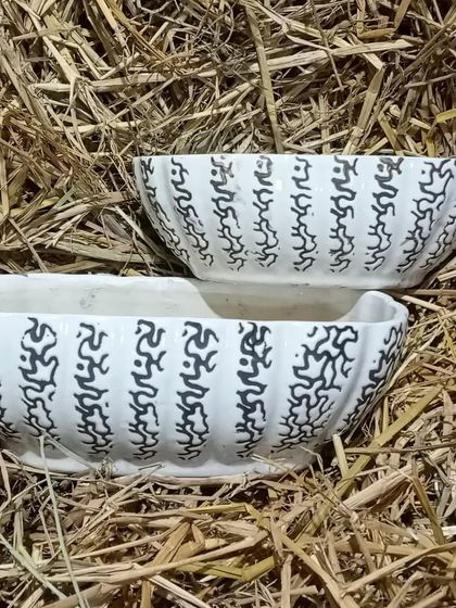 A set of boat-shaped ceramic planters with a modern abstract pattern. Their unique shape is perfect for creating interesting succulent or cactus arrangements.