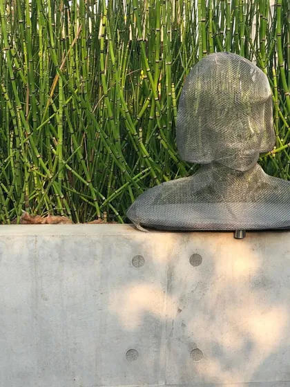 A wider view of the metal mesh sculpture, showing it placed on a concrete planter. The play of sunlight and shadow on the concrete wall adds another layer of texture to the composition.