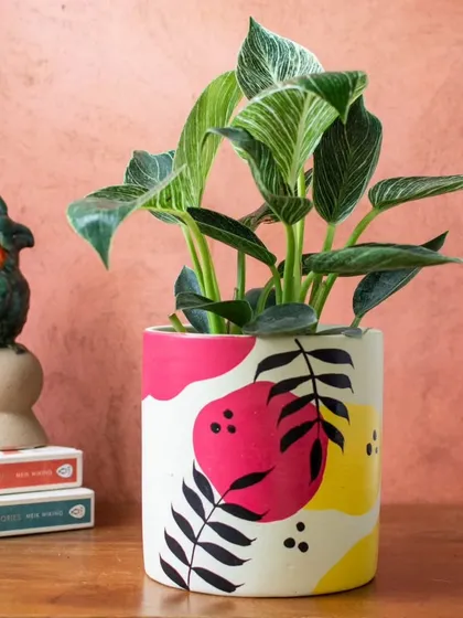 My Summer hand-painted ceramic planter brings a vibrant, tropical feel to your decor. Each one is painted by hand, making it a unique piece of art for your favorite plant.