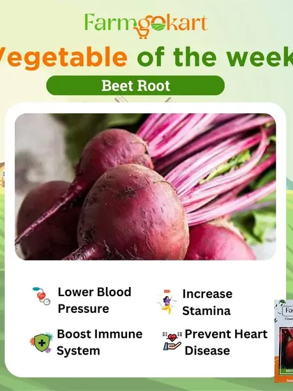 This week's featured vegetable is beetroot! It's not just delicious but also helps lower blood pressure and boost your immune system. Try growing this superfood in your garden.