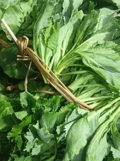 Close-up of the fresh green leaves, tied with a natural fiber string. This is how produce is often sold in local markets back home.