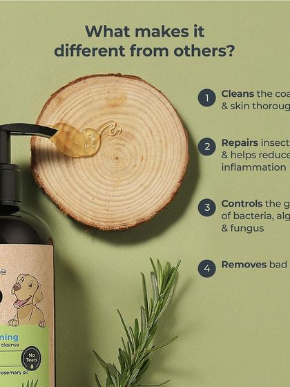 Zigly - Pet Supplies Our Exclusive Products photo 27