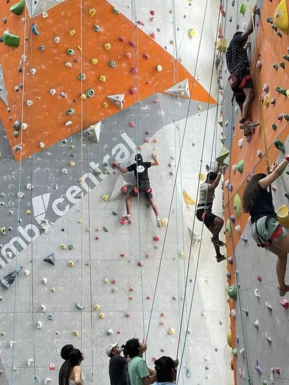 A wide shot showing the height of our walls and the vibrant colors of the routes. There's always something new to try.