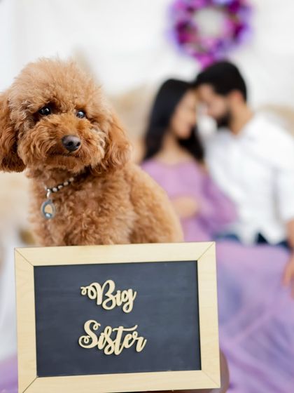 The Journey Together: Couple Portraits photo 11