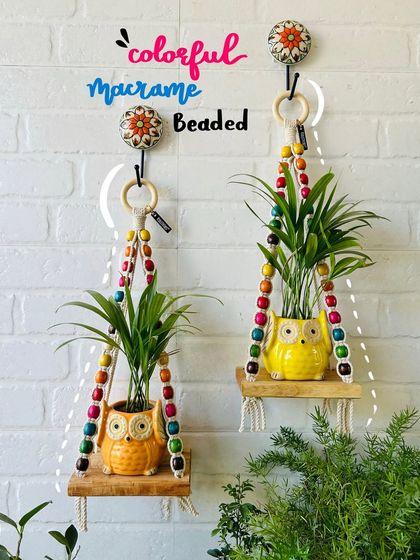 A colorful collection of our macrame beaded wall shelves. This image shows how you can mix and match different colors and styles to create a unique and personalized wall display with your favorite small plants.