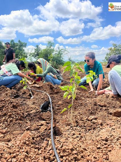 A group of volunteers works along a drip irrigation line at the Pune site. This shows our use of water-efficient techniques to ensure the survival of saplings, especially in drier regions.