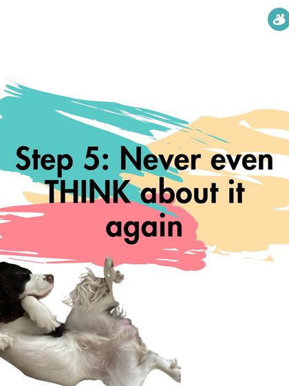 The Pack - Online Pet Parent Community A Voice for Every Dog photo 31