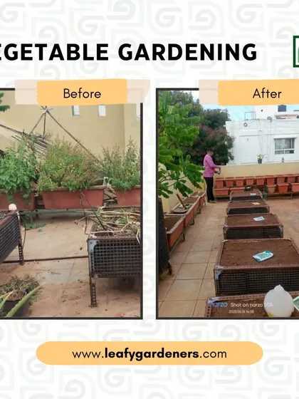 Growing your own food is incredibly rewarding, and I can set up your very own vegetable garden. For this project, I cleared out old, unproductive planters and installed new, properly prepared garden beds ready for a fresh season of growth.