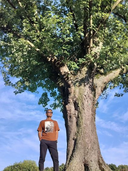 Grounded by the strength of a mighty tree. We draw inspiration from nature's resilience and stability in our own practice.