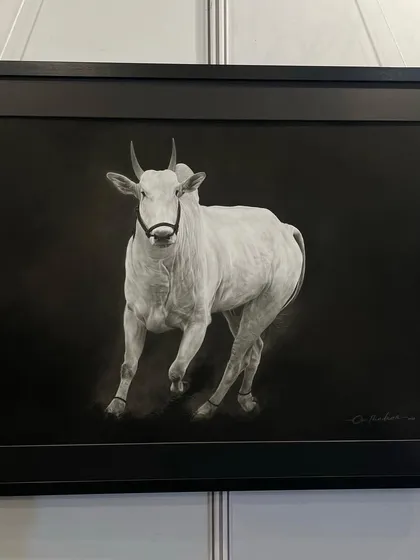 The framed version of my artwork 'RUBAB', showing how the piece looks when ready for display. The simple black frame complements the monochrome drawing.