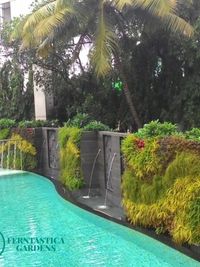 Vertical Gardens & Green Walls