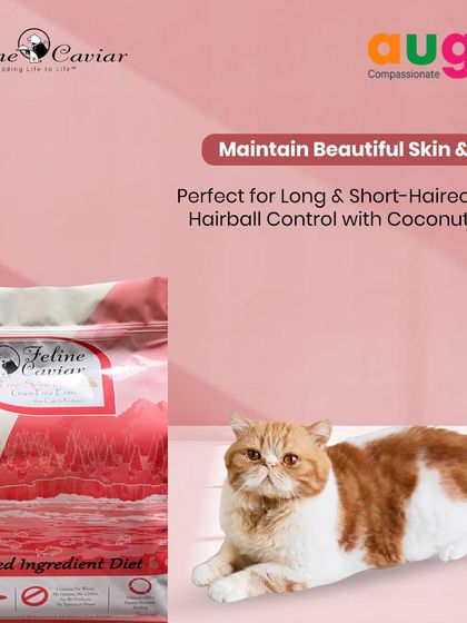 Augie Pets - Pet Supplies For Our Feline Friends: Premium Cat Nutrition photo 37