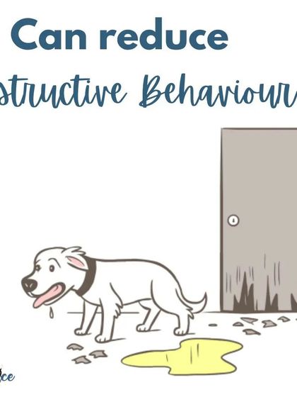 A crate can help reduce destructive behavior. It gives your puppy a safe place to be when you can't supervise them, preventing them from chewing on inappropriate items.