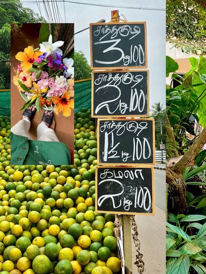 The vibrant street life of Auroville, with piles of fresh limes and flowers for sale.