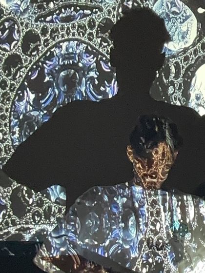 A creative shot with projection mapping during the Delhi Skateboard event. The visuals were as trippy as the beats.