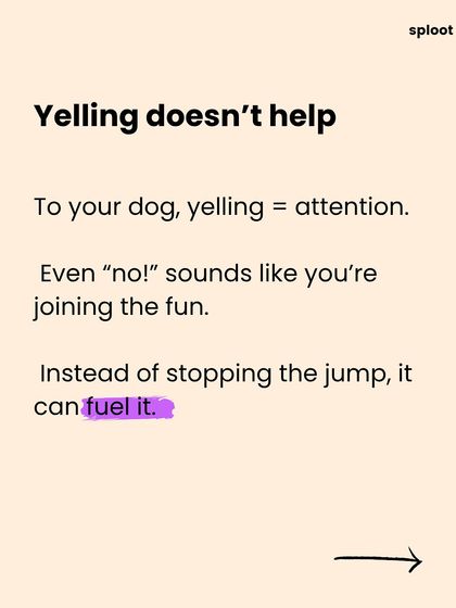 Yelling "no" or pushing your dog down doesn't help stop jumping. To your dog, any reaction is attention, which can actually encourage the behavior.