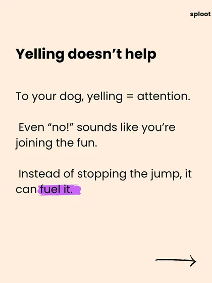 Yelling doesn't help. To your dog, any attention is good attention, and yelling can actually sound like you're joining in the fun, fueling the jumping.
