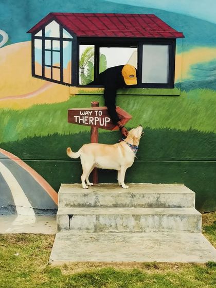 Therpup - Pet-Friendly Cafe & Restaurant The Therpup Vibe: Our Space photo 8