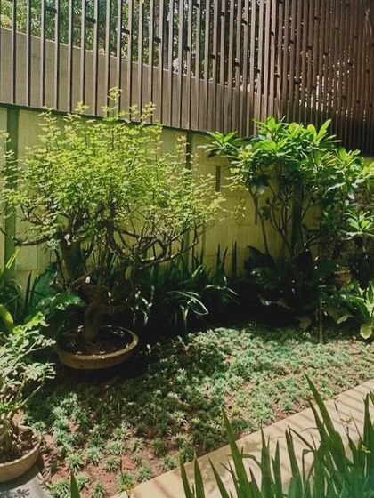 Senscape - Sustainable Architecture & Interior Design Contemporary Residences & Urban Oases photo 28