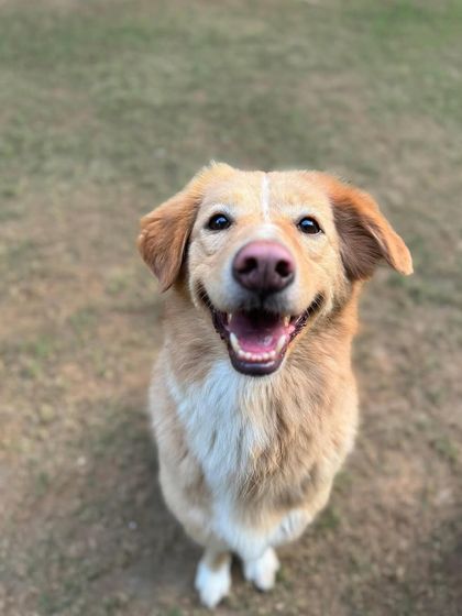 A close-up of a very happy face. These moments are why we do what we do.