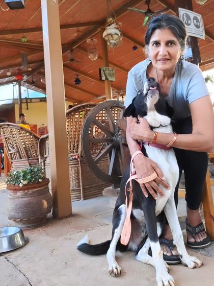 Poochkoo Mutts & Nutts - Dog Training & Behavior Modification Behavioral Rehabilitation & Transformation photo 6