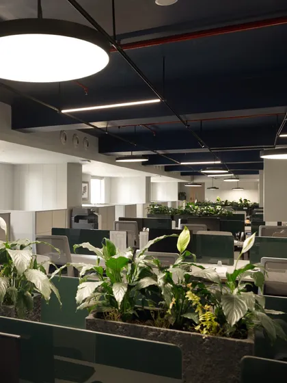 An expansive view of the workstation area at Jubilee Headquarters. We integrated biophilic design with rows of peace lilies, creating a calming and productive environment that prioritizes employee well-being alongside a clean, minimalist aesthetic.