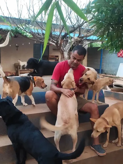 This is my life, surrounded by the pack. I'm not just the owner; I'm part of the family. We're hands-on, making sure every dog, from the shy ones to the boisterous ones, feels safe and loved.