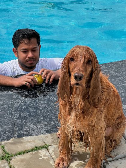 Posto looking a bit grumpy after his swim, while his dad tries to coax him back into the pool.