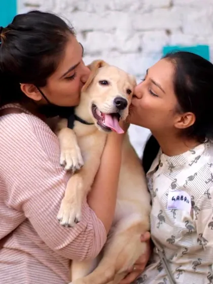 A double kiss for this lucky Labrador puppy! The pure joy of puppy love is contagious at our cafe.