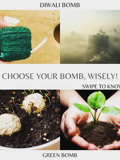 We encourage you to choose a solution, not pollution. Our Green Bombs are a powerful alternative, allowing you to plant a tree and fight pollution, turning celebrations into a force for positive environmental change.