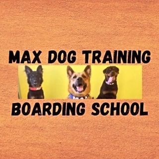 Max Dog Training