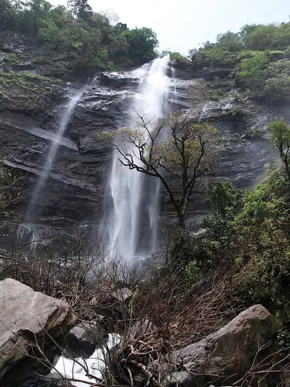A beautiful view of a waterfall cascading down a rocky cliff, framed by a single tree, capturing the raw beauty of the ghats.