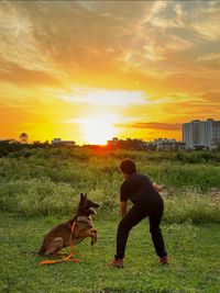 Dog Socialization & Group Activities