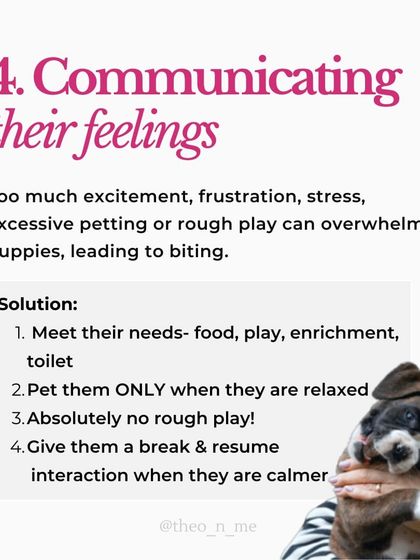 Is your puppy biting you constantly? It's a normal behavior with many causes, from teething pain to lack of sleep. This guide explains the six main reasons for puppy biting and provides practical, force-free solutions for each.