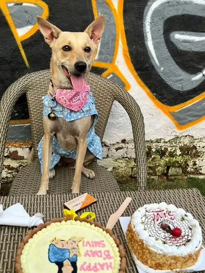A birthday girl looking regal on her special day. We set up the perfect photo spot with a custom cake and decorations to capture these precious memories.