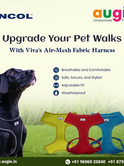 Augie Pets - Pet Supplies Adventure-Ready Gear for Every Outing photo 4