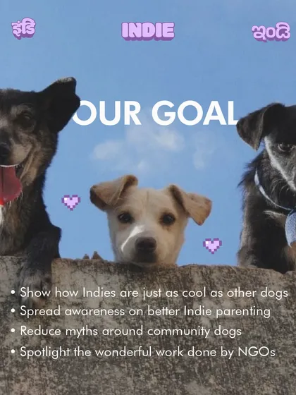 We are passionate about celebrating our native Indian dog breeds. Our 'Indie Month' is a special initiative with themed classes, meet-ups, and NGO collaborations to spread awareness and reduce myths around community dogs.