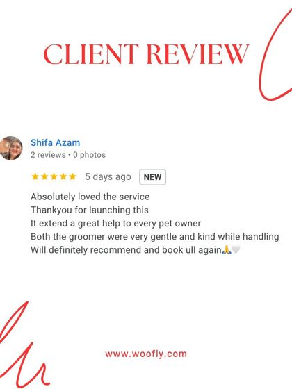 Woofly - At-Home Pet Grooming What Pet Parents Are Saying photo 4