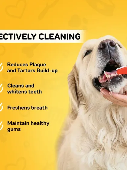 A healthy smile is a happy smile. Our dental cleaning products are designed to effectively reduce plaque and tartar buildup, which helps freshen breath and maintain healthy gums for more enjoyable cuddle sessions.