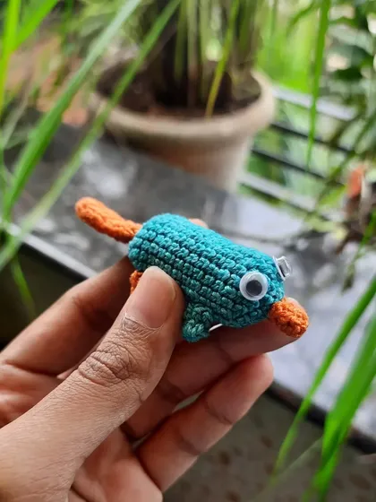 Here's the platypus without his hat. Just a regular platypus, nothing to see here! This shows how a small change can transform the character.