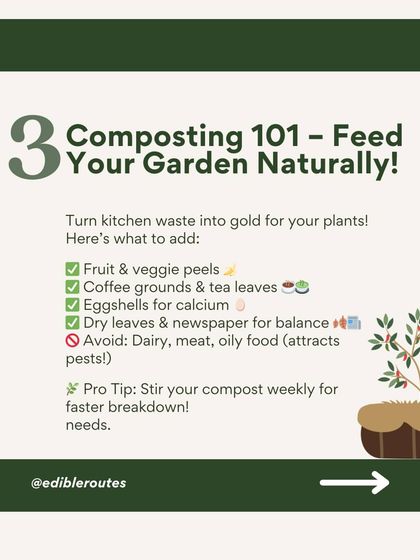 Composting is like turning kitchen waste into gold for your garden. I teach you what to add (fruit peels, coffee grounds) and what to avoid (dairy, oily food) for the best results.