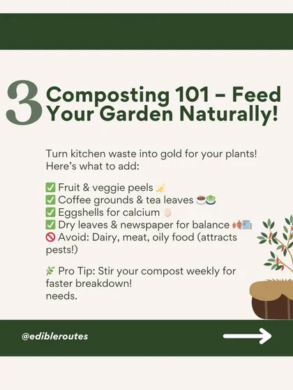 We teach you how to turn your kitchen waste into black gold for your garden. This graphic provides a simple guide to composting, explaining what to add and what to avoid for a healthy compost pile.