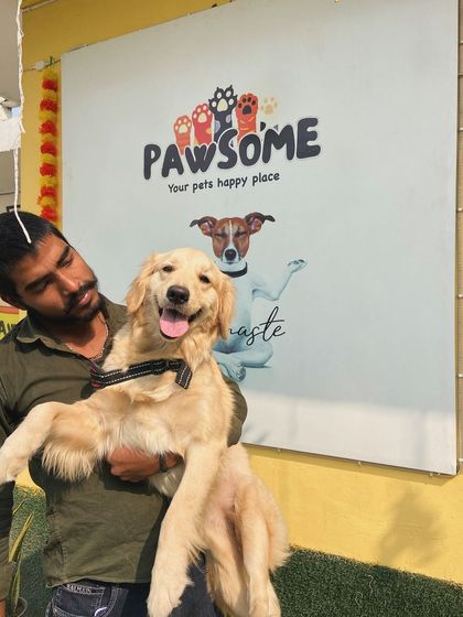 Another happy Golden Retriever enjoying some cuddle time. They are such affectionate dogs.