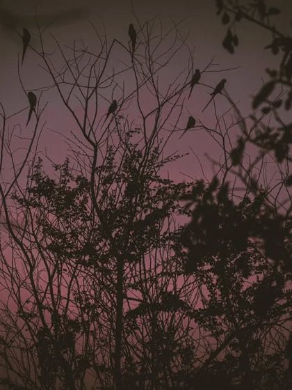 Zahid Moledina - Photography The World Up Close: Nature & Macro photo 45