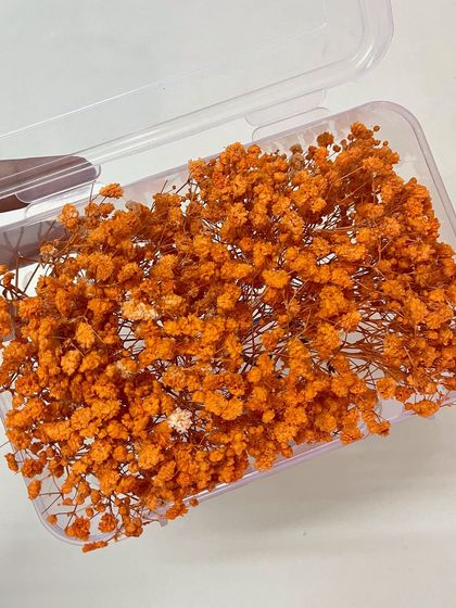 This bright orange baby's breath is perfect for a Haldi ceremony or to add a pop of color to your bridal bun.