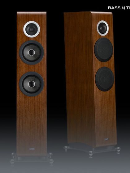 For the Audiophile: High-Fidelity Stereo Setups photo 39