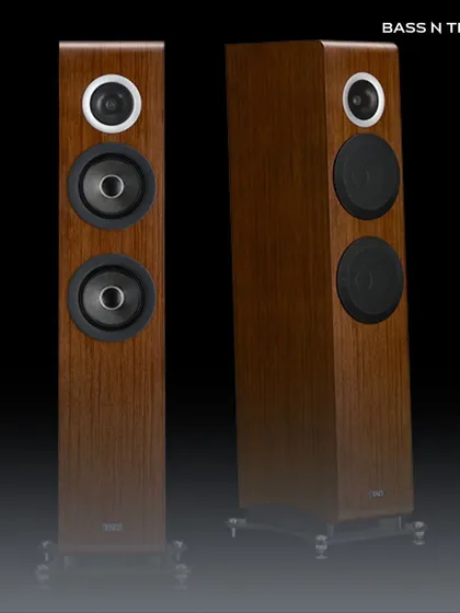 The TAD Evolution Two floor-standing speakers in a rich wood finish. Their slim profile and advanced driver technology make them a perfect fit for modern listening rooms.