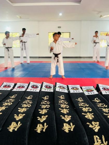 United Martial Arts & Activity Club - Karate Training The Path to Black Belt: Grading & Recognition photo 20