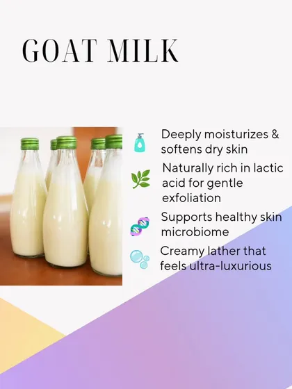 Goat Milk is the original gangster of creamy, nourishing lathers. It's rich in lactic acid for gentle exfoliation and supports a healthy skin microbiome.